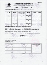 检测仪器报告证书：涂层测厚仪